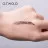 Гель для бровей O.TWO.O Eyebrow Extension 4g