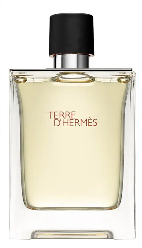 Hermes Terre D'Hermes edt for men 100 ml A Plus