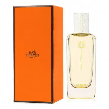 Hermes Ambre Narguile edt unisex 100 ml A Plus