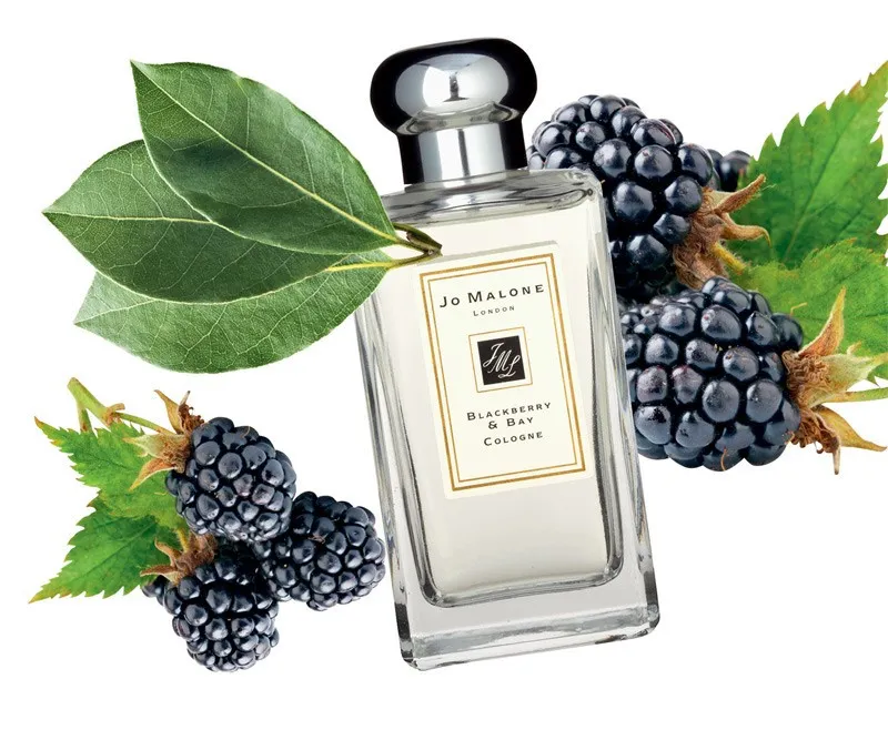 J. M. Blackberry & Bay for women 100 ml ОАЭ