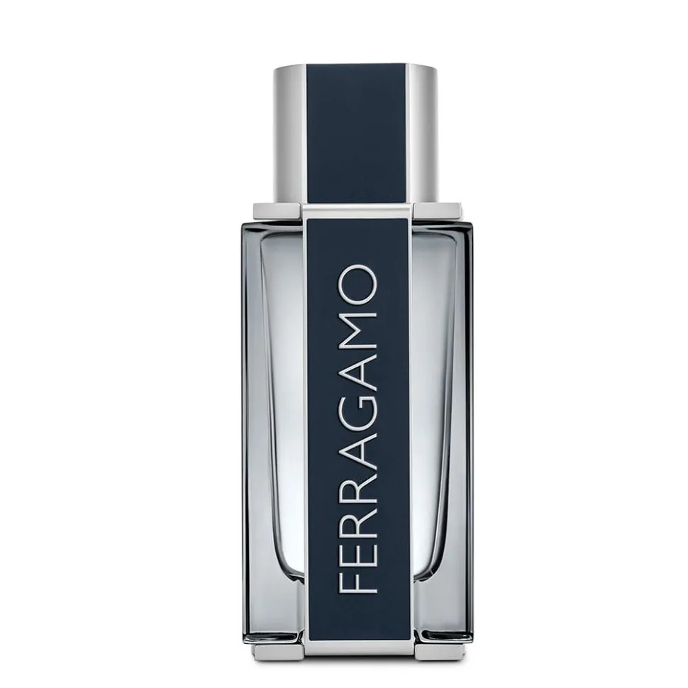 Salvatore Ferragamo Ferragamo edt pour homme 100 ml A Plus
