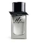 Burberry Mr. Burberry for men 100 ml