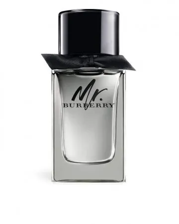 Burberry Mr. Burberry for men 100 ml