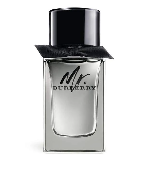 Burberry Mr. Burberry for men 100 ml