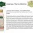 Шампунь Pharma Selection восстанавливающий физиологию сальных желез  250 ml
